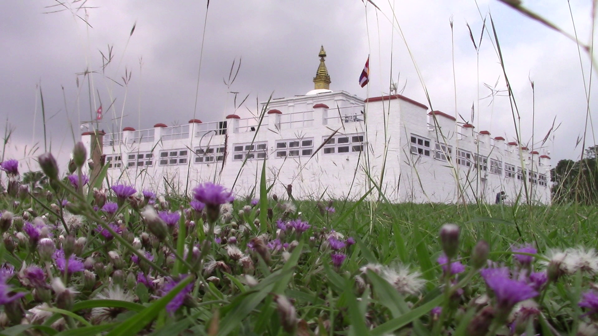 मायादेवी मन्दिर खुलेसँगै लुम्बिनीमा आन्तरिक पर्यटक बढे